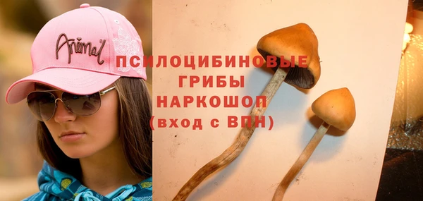 тгк Майский