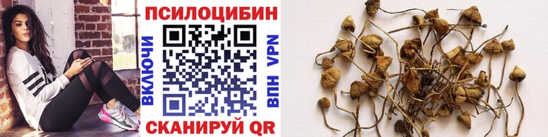Галлюциногенные грибы Cubensis  Пойковский 